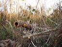 dsc00480